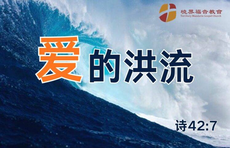 11月30日 沈颖师母：爱的洪流