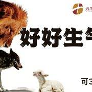 12月14日 刘阳牧师：好好生气