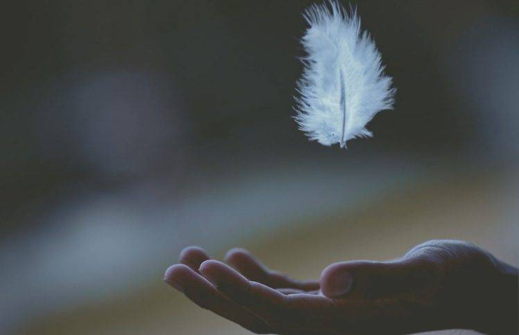 “虚空”的本质，就是人生无法被掌控