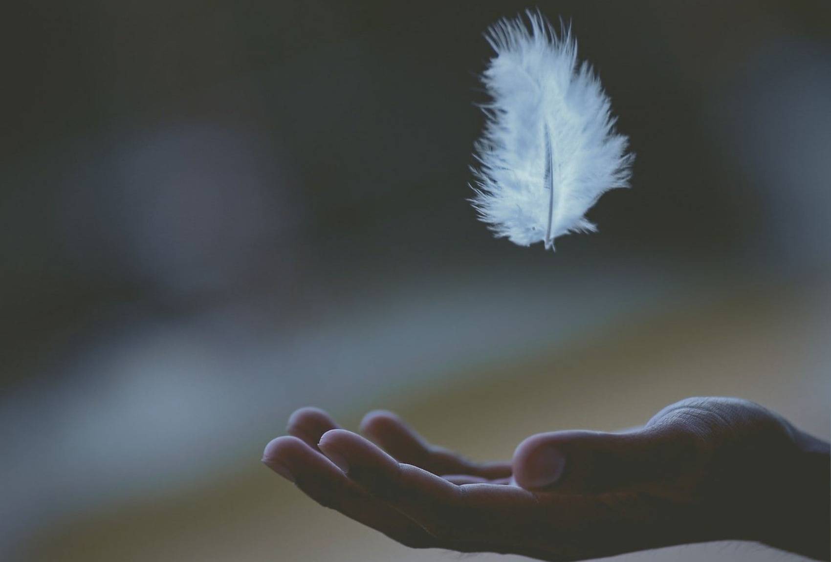 “虚空”的本质，就是人生无法被掌控