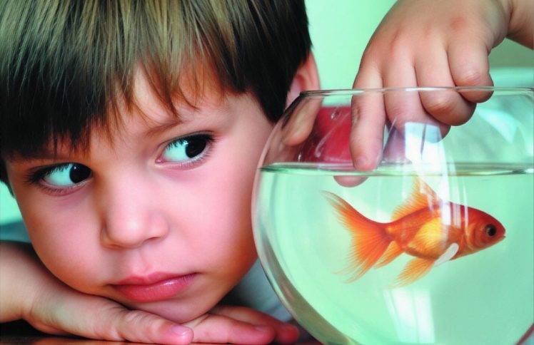 Homeschool多动症儿