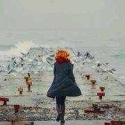 流浪的“神二代”，回家啦！