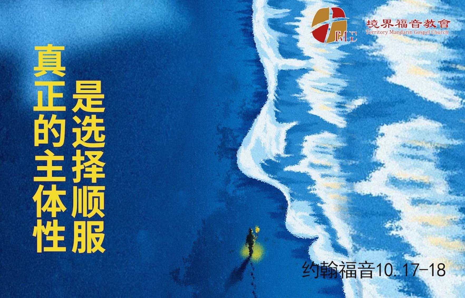 8月2日 沈颖师母：真正的主体性是选择顺服