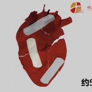 8月16日 沈颖师母：你要痊愈吗？