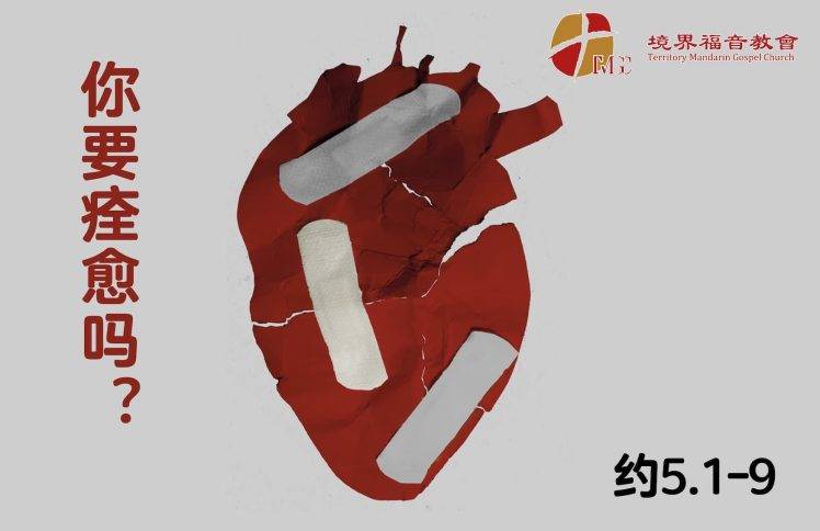 8月16日 沈颖师母：你要痊愈吗？