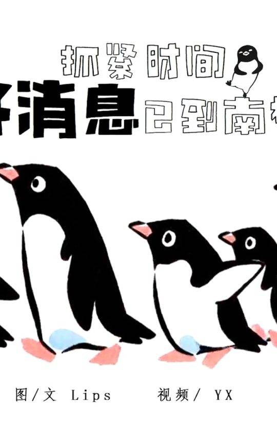 抓紧时间，好消息已到南极！