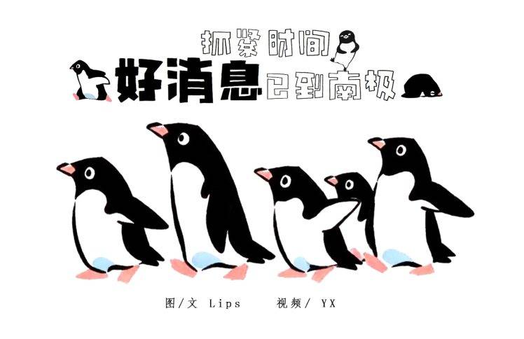 抓紧时间，好消息已到南极！