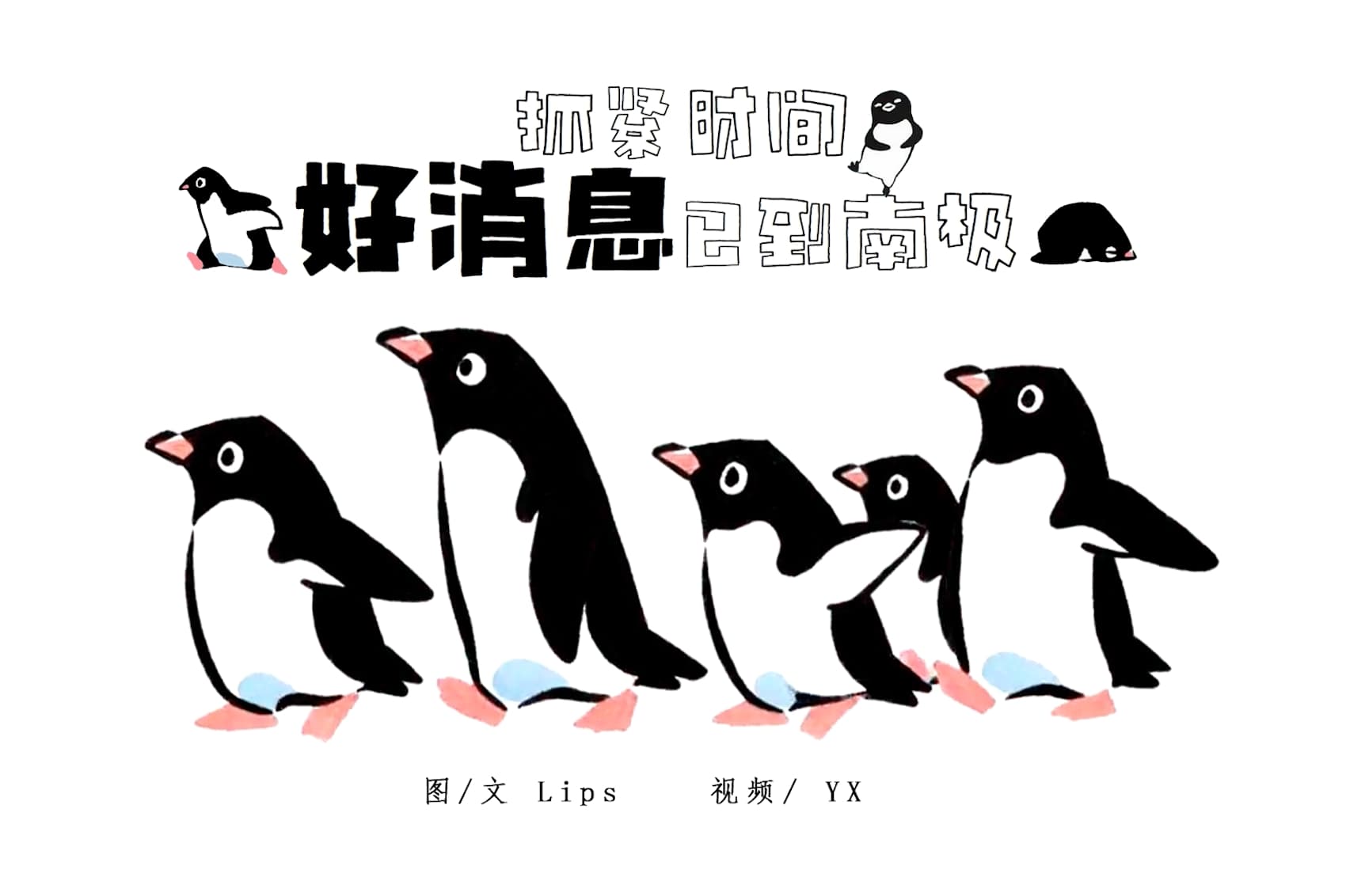 抓紧时间，好消息已到南极！